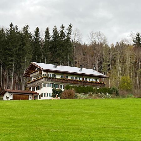 Apartmán Ferienhaus Am Wald Friesenried Exteriér fotografie