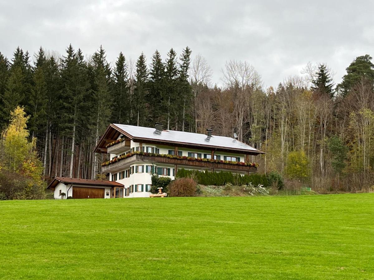 Apartmán Ferienhaus Am Wald Friesenried Exteriér fotografie