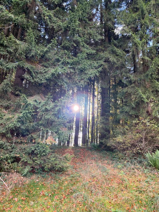 Apartmán Ferienhaus Am Wald Friesenried Exteriér fotografie