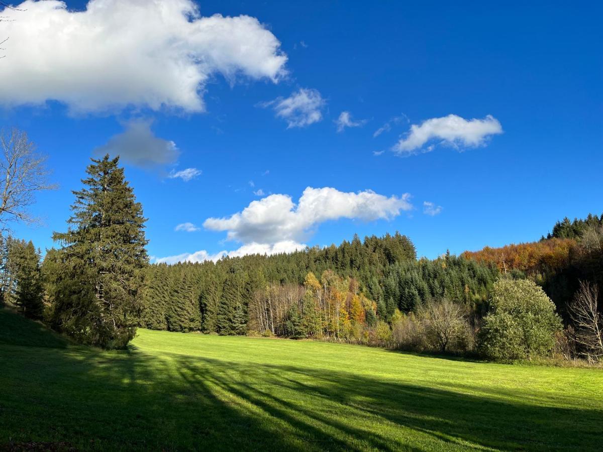 Apartmán Ferienhaus Am Wald Friesenried Exteriér fotografie
