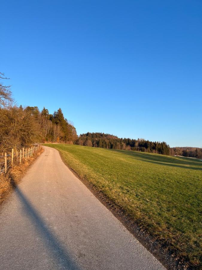 Apartmán Ferienhaus Am Wald Friesenried Exteriér fotografie