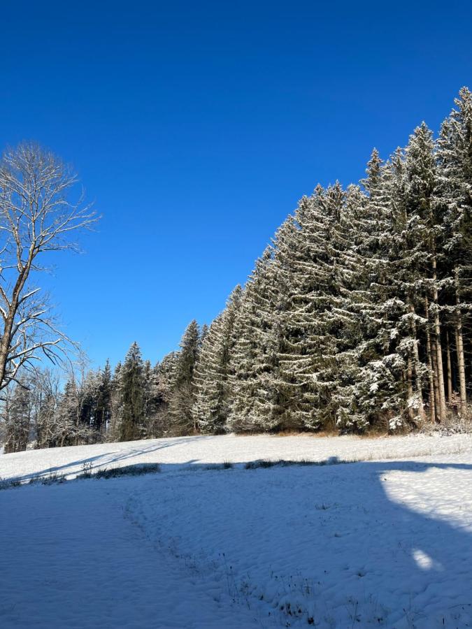 Apartmán Ferienhaus Am Wald Friesenried Exteriér fotografie