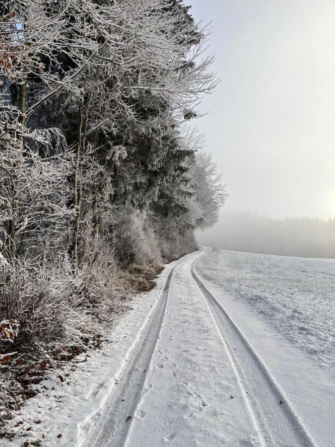 Apartmán Ferienhaus Am Wald Friesenried Exteriér fotografie